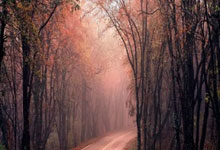 天涯神贴解压密码的秘密