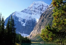 天涯神贴那些神贴