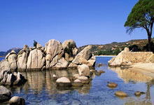 天涯神贴背后的真实故事，老铁你肯定不知道！